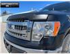 2014 Ford F-150  (Stk: 4F12850B) in Brantford - Image 3 of 11
