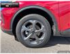 2025 Ford Escape ST-Line (Stk: 5EC5018) in Brantford - Image 6 of 23