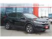 2018 Honda CR-V LX (Stk: 16-250034A) in Orléans - Image 5 of 14