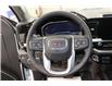 2025 GMC Sierra 1500 Elevation (Stk: S1438) in Watrous - Image 20 of 43