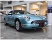 2002 Ford Thunderbird Standard (Stk: 24ENV44A) in Virgil - Image 3 of 25