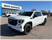 2025 GMC Sierra 1500 Elevation (Stk: 35323) in Renfrew - Image 1 of 39