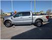 2024 Ford F-150 XLT (Stk: P5430) in Casselman - Image 7 of 28