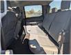 2024 Ford F-150 XLT (Stk: P5430) in Casselman - Image 14 of 28