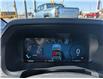 2024 Ford F-150 XLT (Stk: P5430) in Casselman - Image 19 of 28