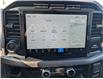 2024 Ford F-150 XLT (Stk: P5430) in Casselman - Image 20 of 28