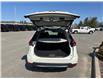 2020 Nissan Rogue SV (Stk: 24679A) in Bracebridge - Image 5 of 17