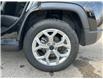 2025 Jeep Compass North (Stk: 25179D) in London - Image 23 of 23