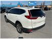 2018 Honda CR-V EX (Stk: 250249A) in Ottawa - Image 4 of 22