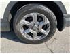 2018 Honda CR-V EX (Stk: 250249A) in Ottawa - Image 22 of 22
