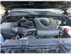 2020 Toyota Tacoma Base (Stk: 25031A) in Port Alberni - Image 14 of 14