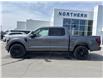 2025 Ford F-150 Platinum (Stk: 25079) in Espanola - Image 2 of 14