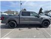 2025 Ford F-150 Platinum (Stk: 25079) in Espanola - Image 6 of 14
