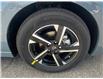 2025 Nissan Sentra SV (Stk: CSY313122) in Cobourg - Image 9 of 24