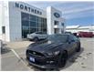 2016 Ford Mustang GT Premium (Stk: U02726) in Espanola - Image 1 of 13