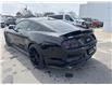 2016 Ford Mustang GT Premium (Stk: U02726) in Espanola - Image 3 of 13