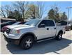 2008 Ford F-150 FX4 (Stk: T8A85355) in Caledonia - Image 1 of 15