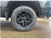 2019 Chevrolet Silverado 1500 LT Trail Boss (Stk: 4325-194A) in Edson - Image 20 of 20