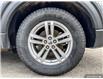 2020 Ford Explorer XLT (Stk: 5615A) in Vanderhoof - Image 6 of 21