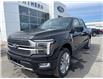 2025 Ford F-150 Platinum (Stk: 25068) in Espanola - Image 9 of 15