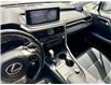2022 Lexus RX 350 Base (Stk: L25538A) in Calgary - Image 19 of 25