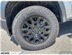 2024 Chevrolet Colorado Trail Boss (Stk: 143456) in Goderich - Image 9 of 28