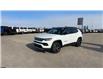 2025 Jeep Compass Limited (Stk: S115) in Leduc - Image 3 of 19