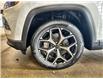 2025 Jeep Compass Limited (Stk: S115) in Leduc - Image 6 of 19