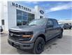 2025 Ford F-150 XLT in Espanola - Image 1 of 14
