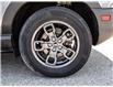 2023 Ford Bronco Sport Big Bend (Stk: VF00313R) in Chatham - Image 11 of 28