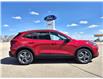 2025 Ford Escape ST-Line (Stk: S75085) in Hague - Image 1 of 14