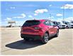 2025 Ford Escape ST-Line (Stk: S75085) in Hague - Image 8 of 14