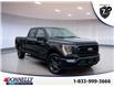 2022 Ford F-150  (Stk: DU8082) in Ottawa - Image 1 of 15