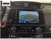 2019 Honda CR-V LX (Stk: 25H459A) in Chilliwack - Image 28 of 36