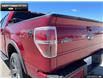 2013 Ford F-150  (Stk: 5F15640A) in Brantford - Image 7 of 15