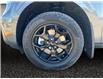 2025 Ford Maverick XLT (Stk: 25T055) in ROCKY MOUNTAIN HOUSE - Image 14 of 15