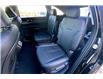 2025 Kia Sorento Plug-In Hybrid EX (Stk: SSR7867) in Sherwood Park - Image 10 of 13