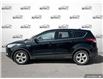 2016 Ford Escape SE (Stk: D5S117A) in Oakville - Image 3 of 24