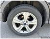2016 Ford Escape SE (Stk: D5S117A) in Oakville - Image 6 of 24