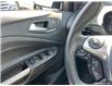 2016 Ford Escape SE (Stk: D5S117A) in Oakville - Image 16 of 24