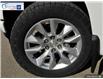 2021 Chevrolet Silverado 1500 Custom (Stk: PR2048) in Brockville - Image 6 of 27