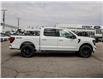 2025 Ford F-150 XLT (Stk: 25F579) in Toronto - Image 4 of 22