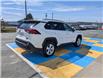 2021 Toyota RAV4 XLE (Stk: N45753A) in Mount Pearl - Image 4 of 19