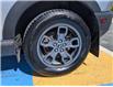 2021 Ford Bronco Sport Big Bend (Stk: 46647A) in Mount Pearl - Image 7 of 18