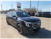 2024 GMC Terrain AT4 (Stk: S276A) in Blenheim - Image 10 of 16