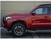 2021 Toyota Tacoma Base (Stk: PR5702) in Windsor - Image 5 of 29