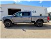 2025 Ford F-350 Lariat (Stk: 25035) in Raymond - Image 10 of 24