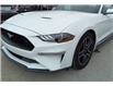 2022 Ford Mustang EcoBoost Premium (Stk: WM0020) in Brandon - Image 2 of 20