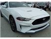 2022 Ford Mustang EcoBoost Premium (Stk: WM0020) in Brandon - Image 4 of 20