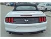 2022 Ford Mustang EcoBoost Premium (Stk: WM0020) in Brandon - Image 7 of 20